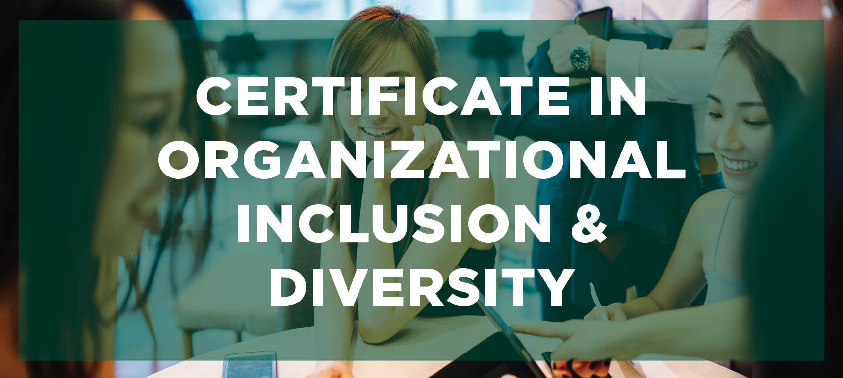 Earn your Certificate in Organizational Inclusion and Diversity