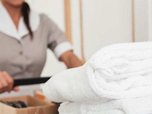 Image of a housekeeper at work