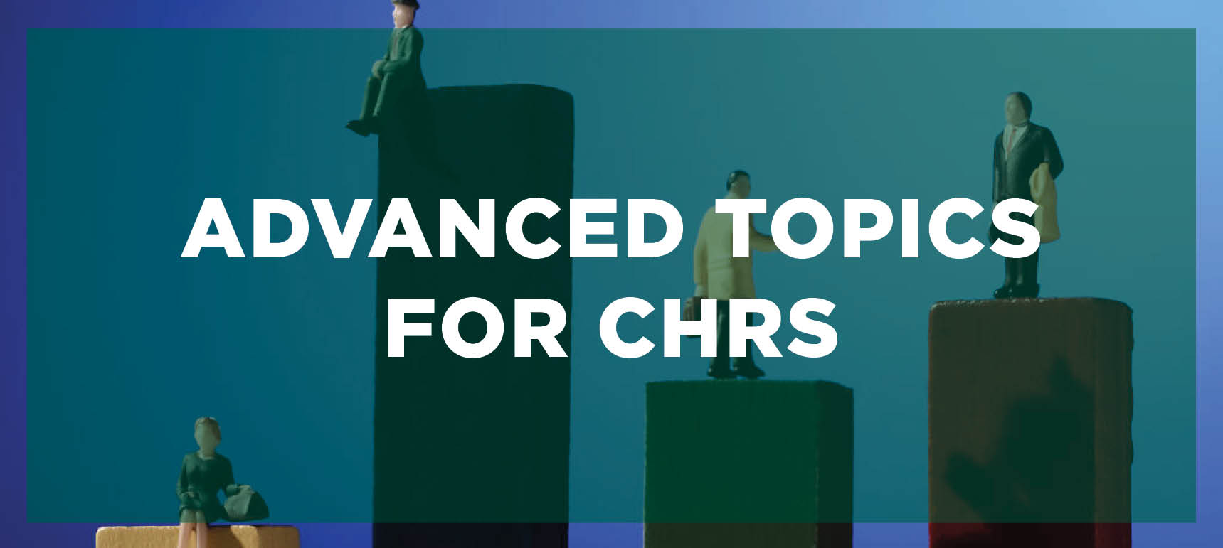Learn more about the Advanced Topics for CHRS program