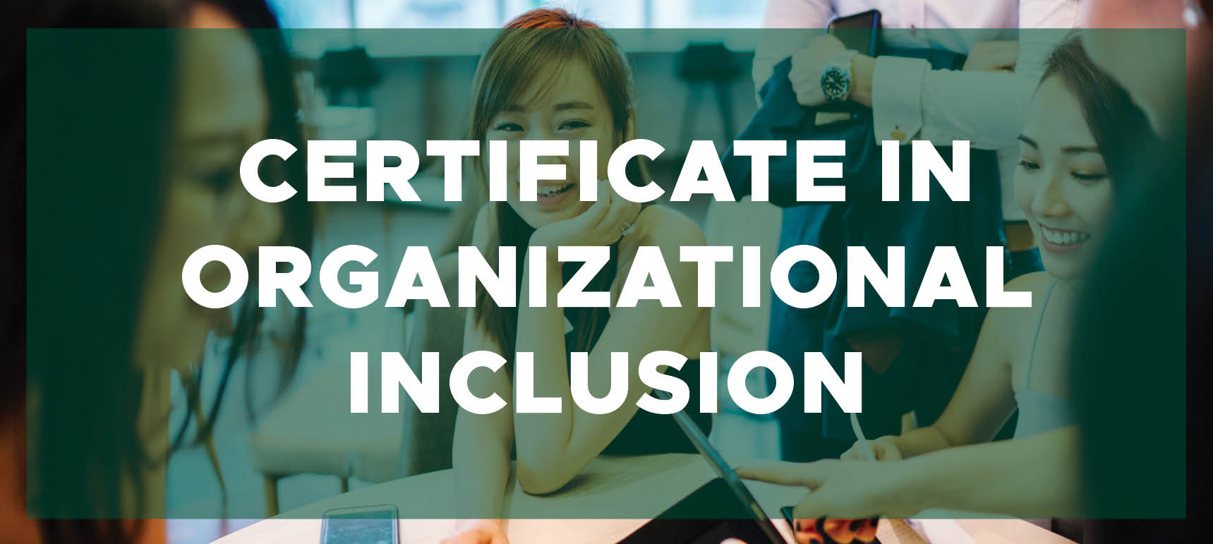 Learn more about the Certificate in Organizational Inclusion program